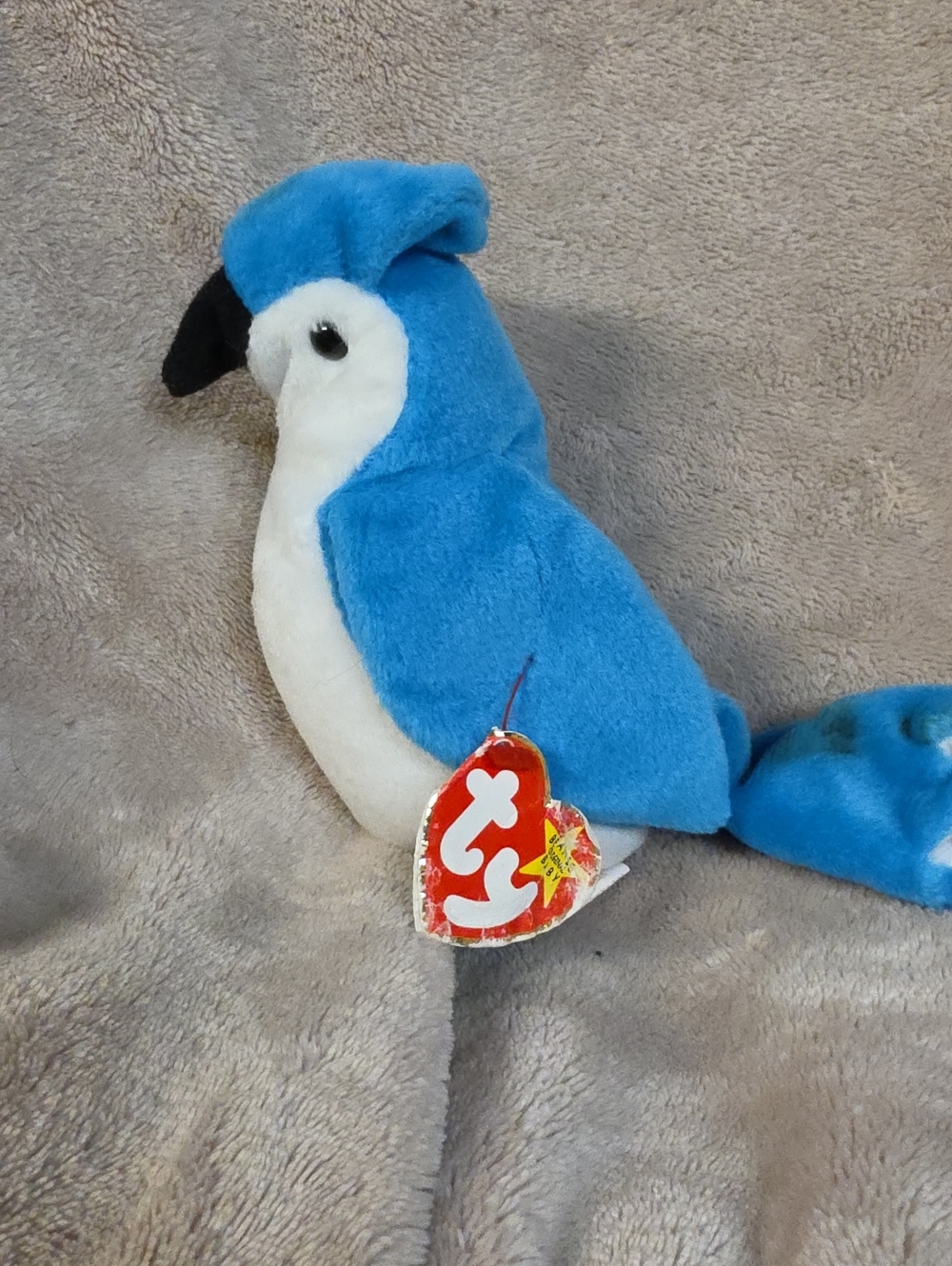 Ty Blue and White Parrot Plush Toy